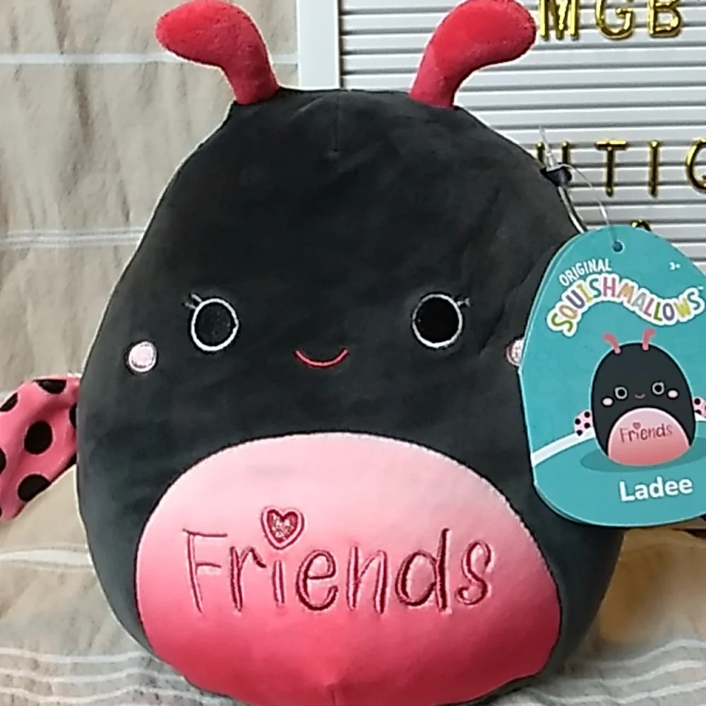 Ladee Ladybug "Friends" Original Squishmallows 10 x 9 inches 5.2.2022 Squishdate - Picture 5 of 5